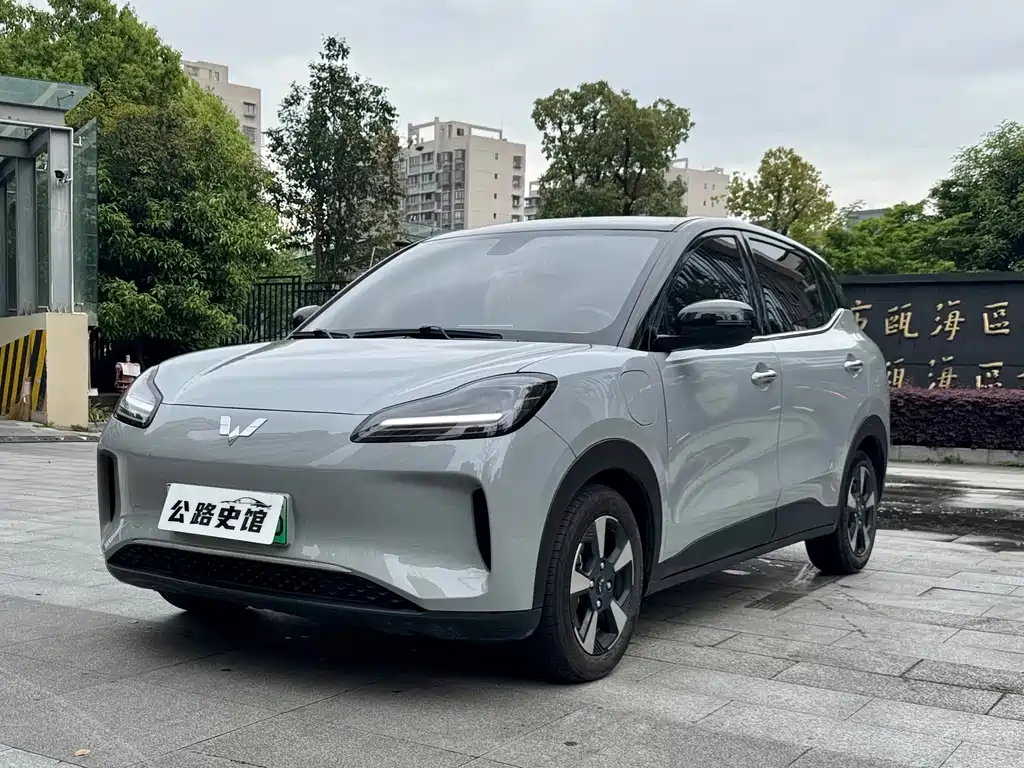 Wuling Bingo PLUS 2024 330km 5-Seater Edition