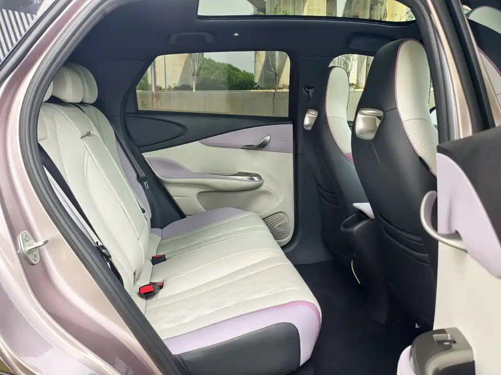 BYD Dolphin 2025 420km Fashion Edition