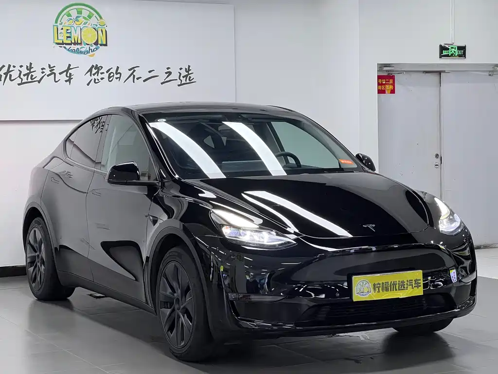 Tesla Model Y 2023 Long Range All-Wheel Drive
