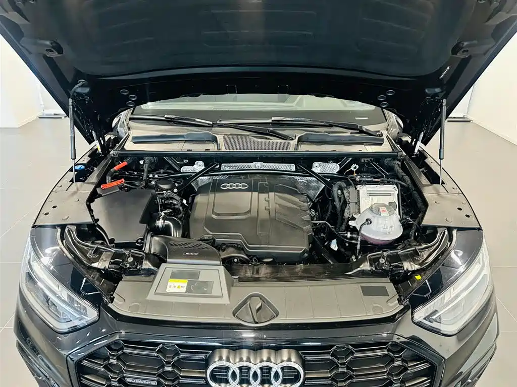 Audi Q5L 2023 40 TFSI Luxury Dynamic Edition