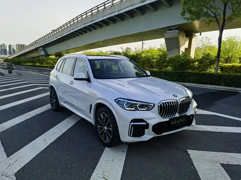 BMW X5 2022 xDrive30Li Premium M Sport Package