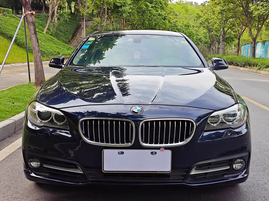 BMW 5 Series Import 2014 520i Elegant Edition