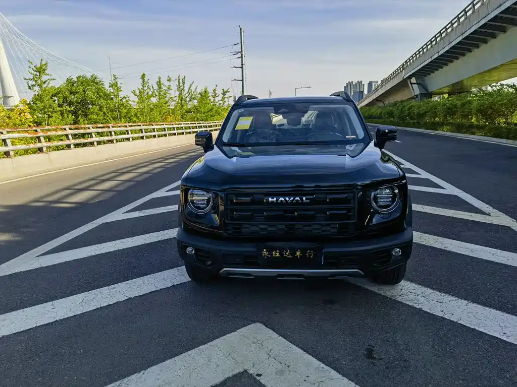 Haval Big Dog 2026 1.5T DCT Border Collie Edition
