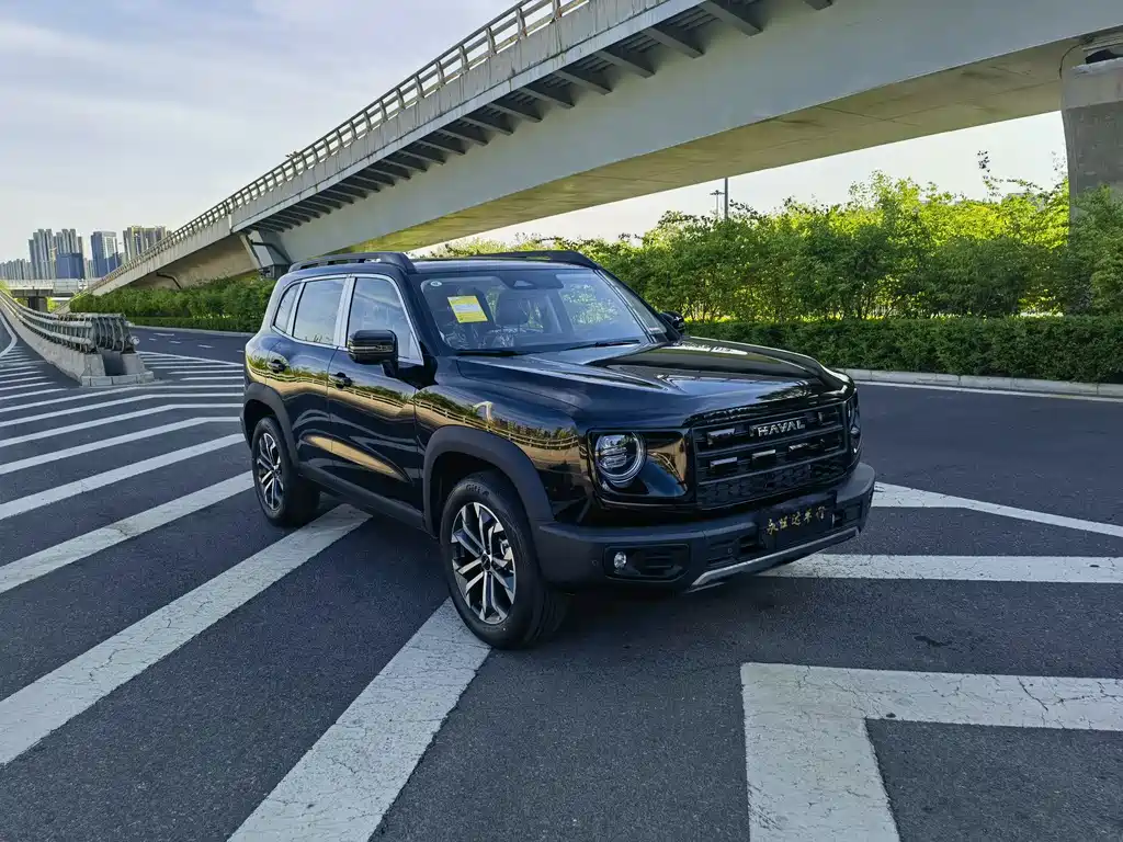 Haval Big Dog 2026 1.5T DCT Border Collie Edition