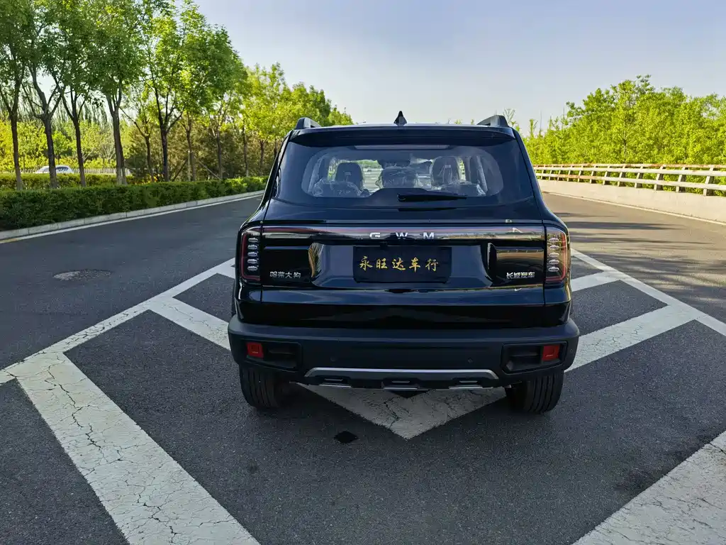 Haval Big Dog 2026 1.5T DCT Border Collie Edition
