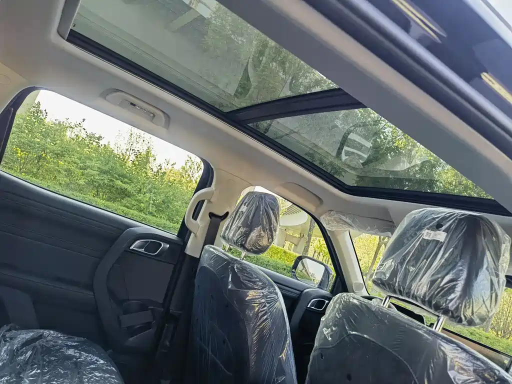 Haval Big Dog 2026 1.5T DCT Border Collie Edition