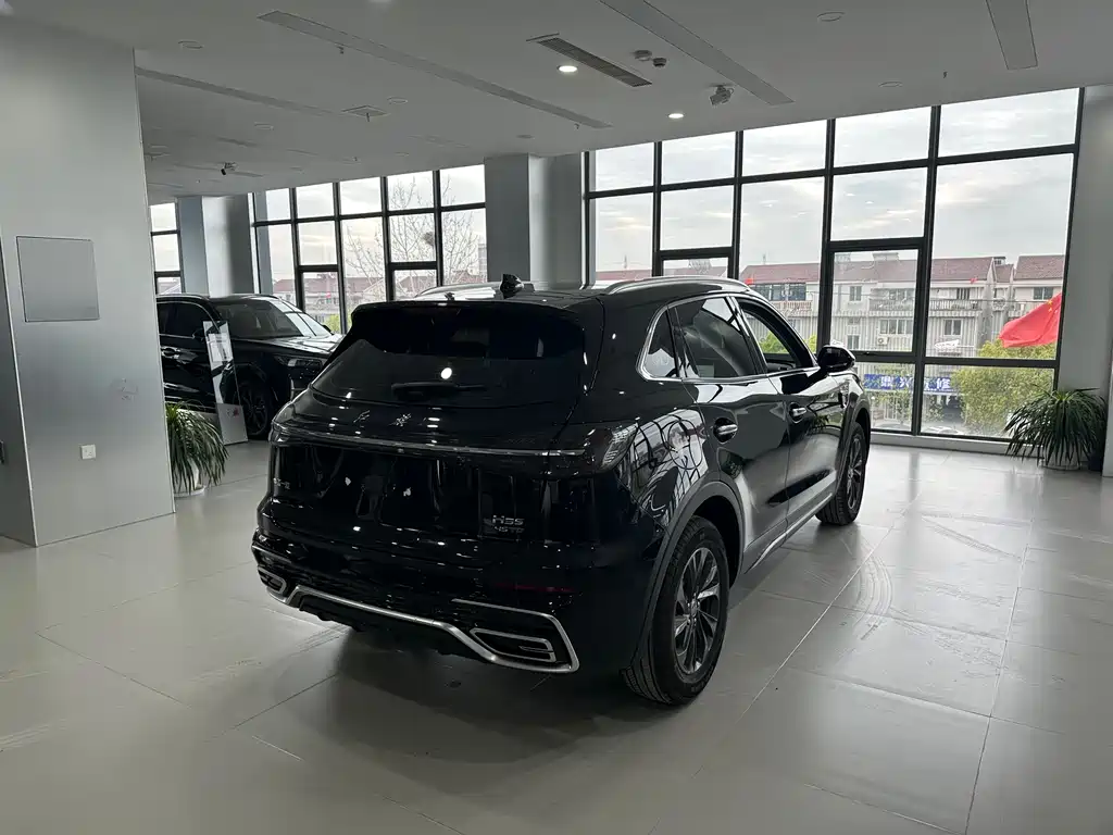 Hongqi HS5 2025 2.0T 2WD 600,000 Commemorative Edition