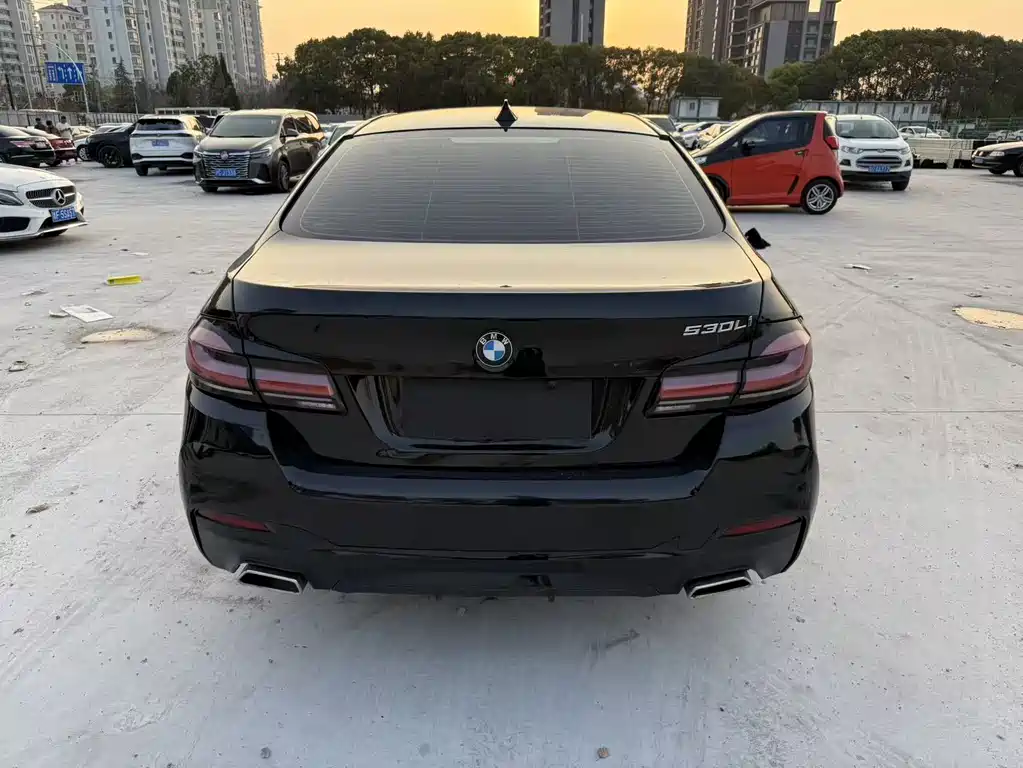 BMW 5 Series 2012 530Li Leading Trim