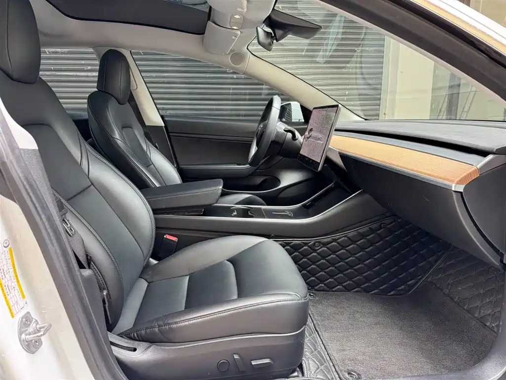 Model 3 2019 Standard Range Plus RWD