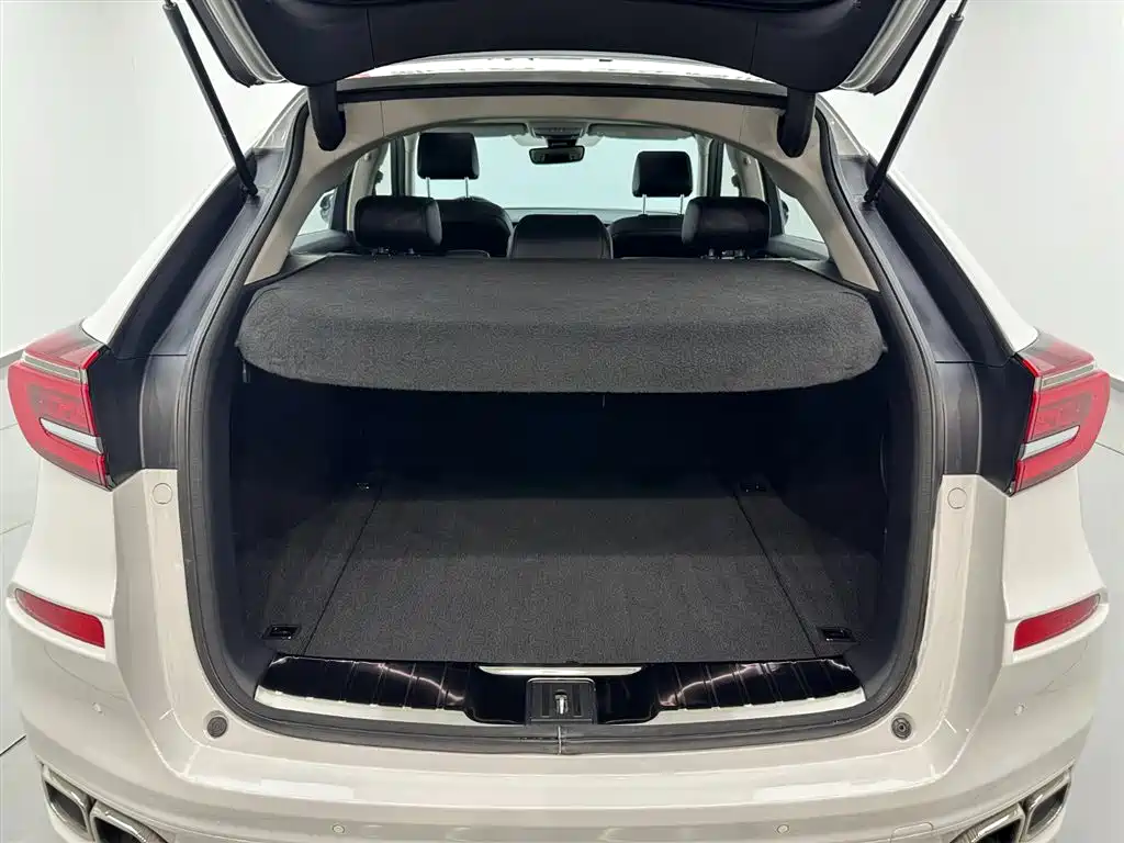Honda Avancier 2020 370TURBO 2WD Luxury Edition
