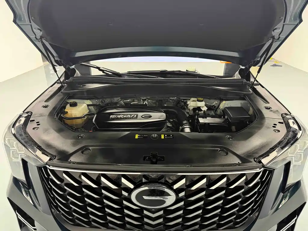 GAC Trumpchi GS8 2025 Pilot Series 2.0TGDI FWD Luxury Edition 5-Seater