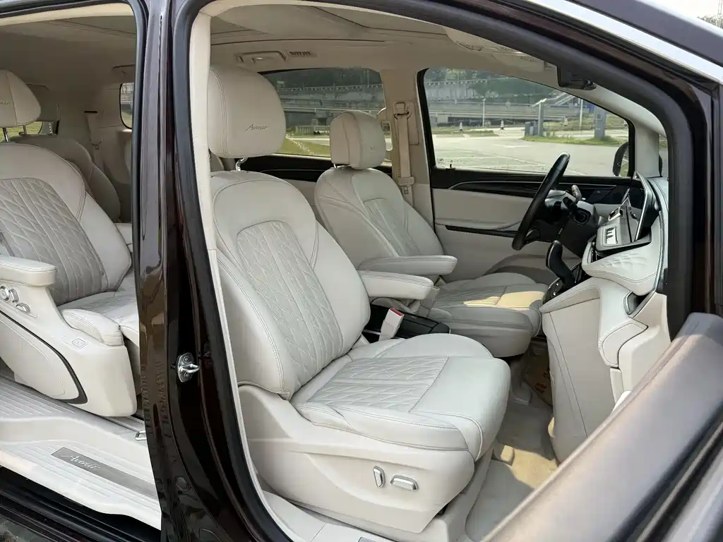Buick GL8 2020 Avenir 6-Seat Xianli Edition