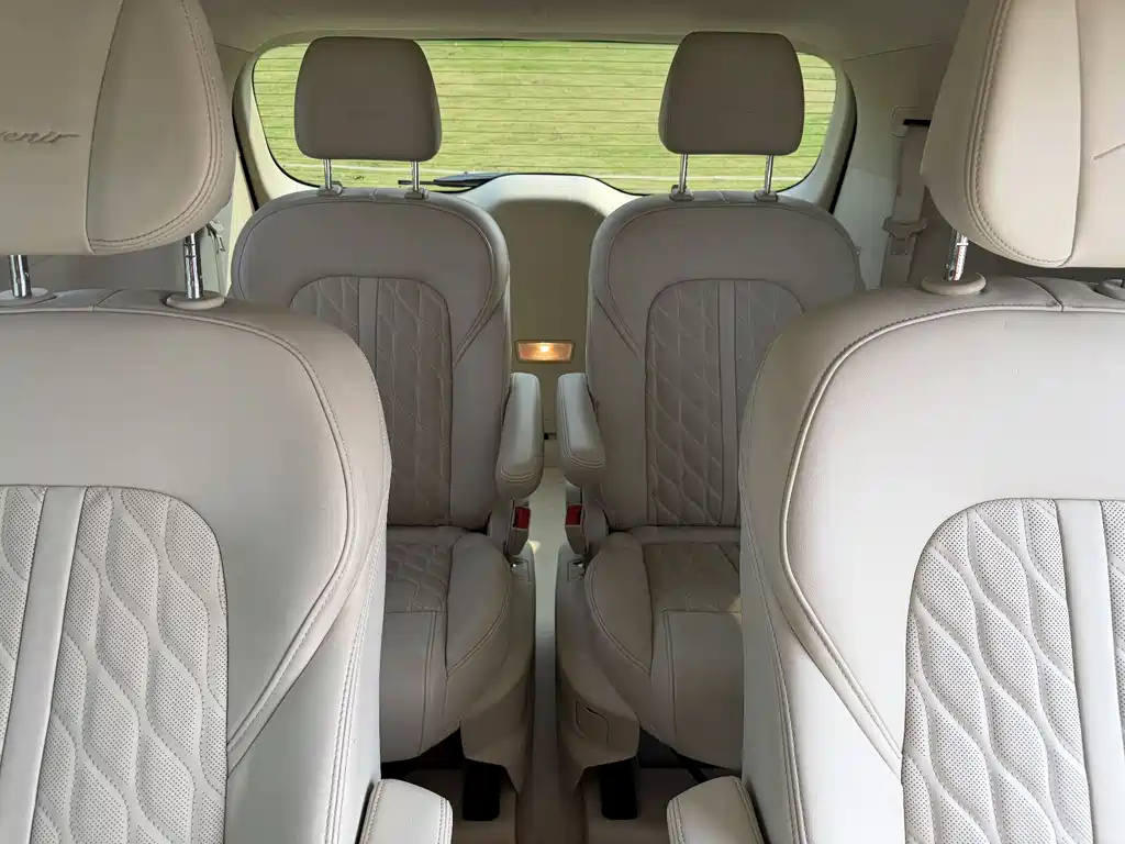 Buick GL8 2020 Avenir 6-Seat Xianli Edition