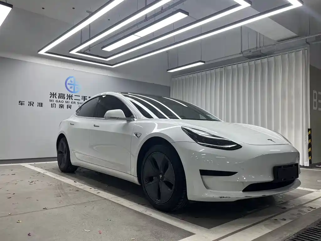 Model 3 2019 Standard Range Plus RWD