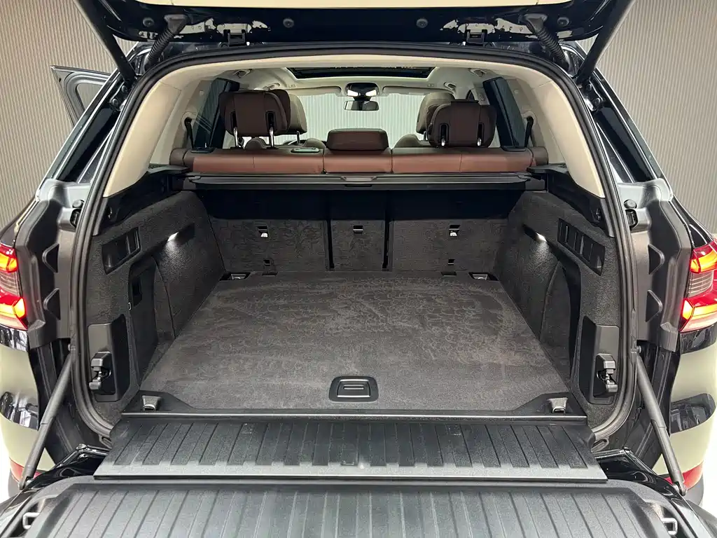 BMW X5 xDrive30i X Line 2021