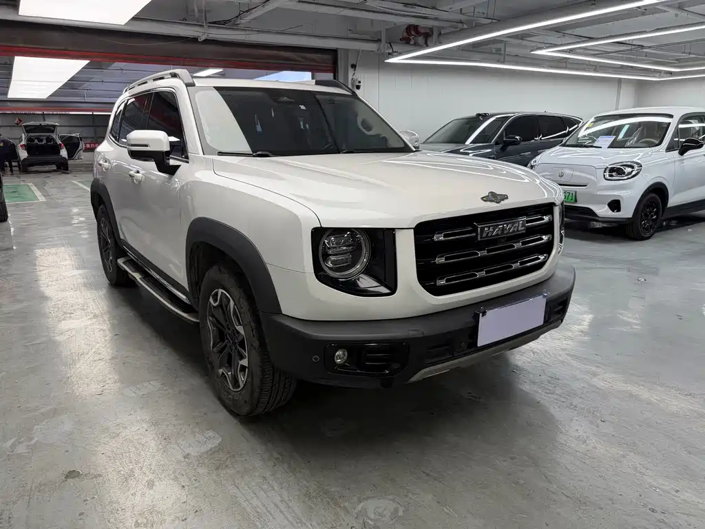 Haval Big Dog 2021 2.0T DCT 4WD Chinese Rural Dog Edition