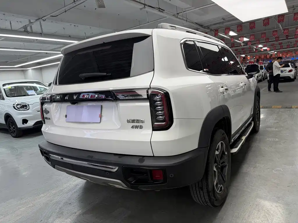 Haval Big Dog 2021 2.0T DCT 4WD Chinese Rural Dog Edition