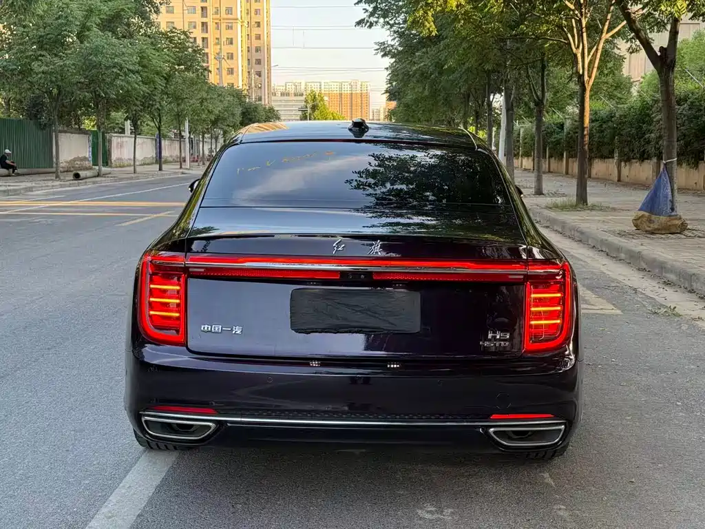 Hongqi H9 2020 2.0T Zhilian Qichang Edition