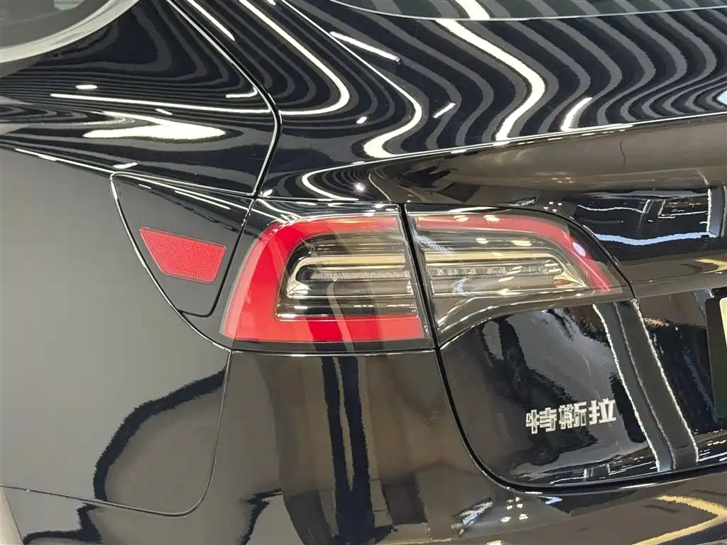 Model 3 2020 Standard Range Plus RWD