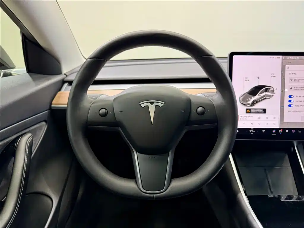 Model 3 2020 Standard Range Plus RWD