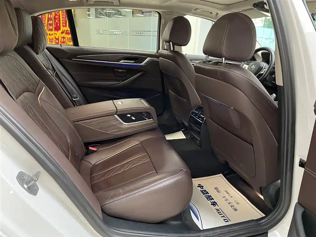 BMW 5 Series 2020 530Li xDrive Luxury Package