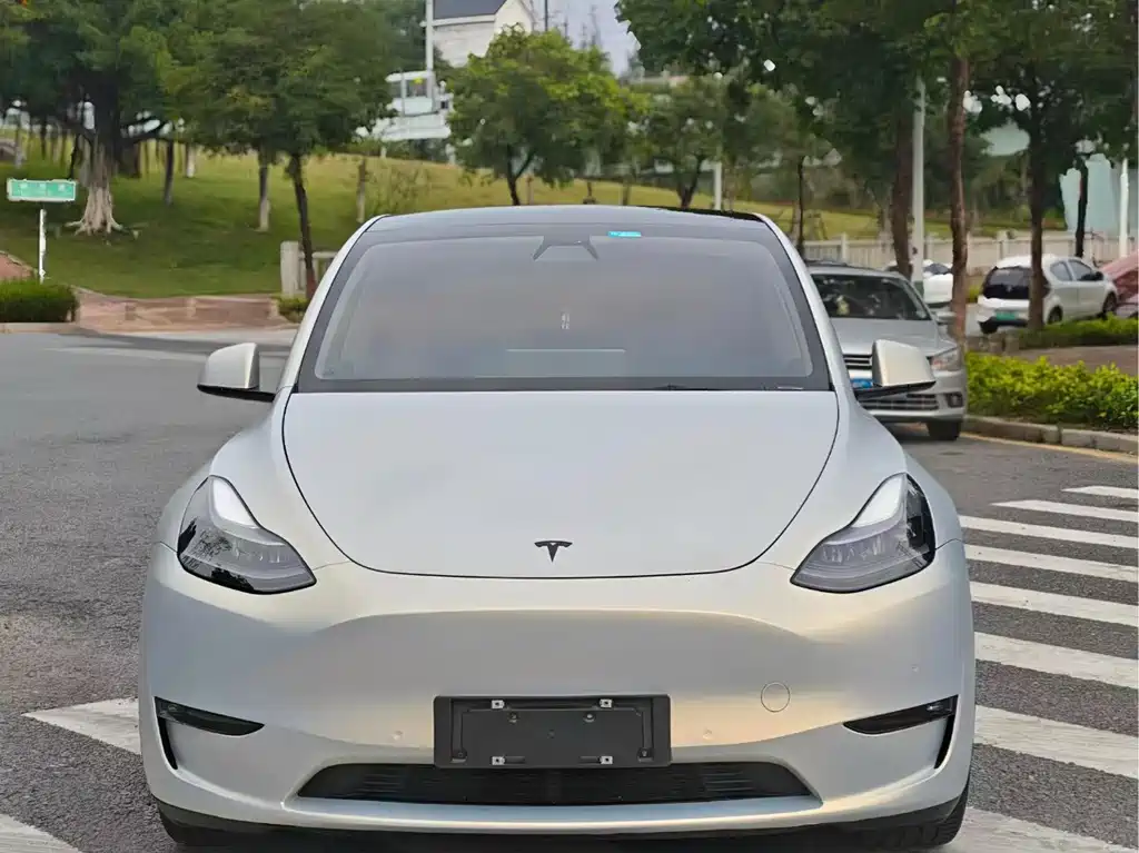 Model Y 2021 Standard Range RWD