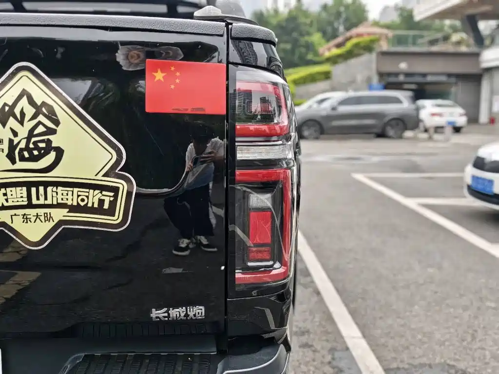 Poer 2021 2.0T Passenger Global Edition Automatic Diesel 4WD Comfort Standard Bed Towing Version GW4D20M