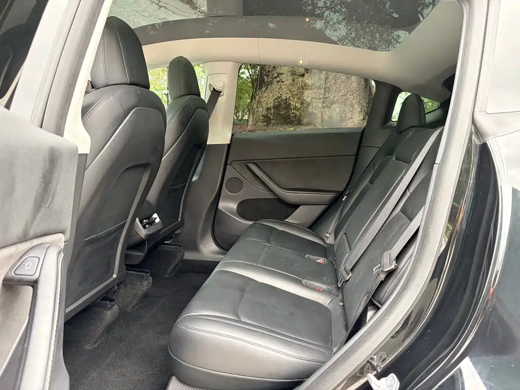 Model Y 2021 Standard Range Rear-Wheel Drive Edition