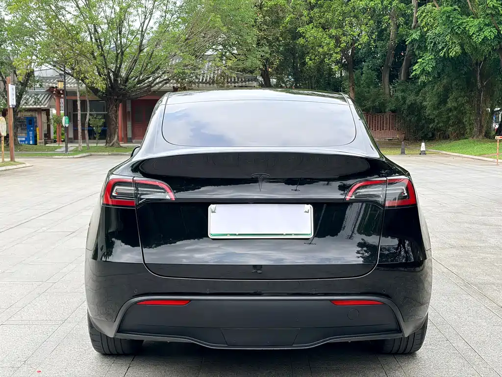 Model Y 2021 Standard Range Rear-Wheel Drive Edition