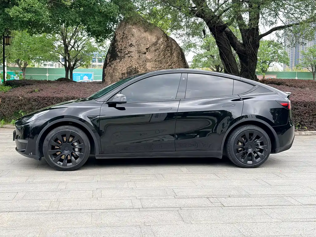 Model Y 2021 Standard Range Rear-Wheel Drive Edition
