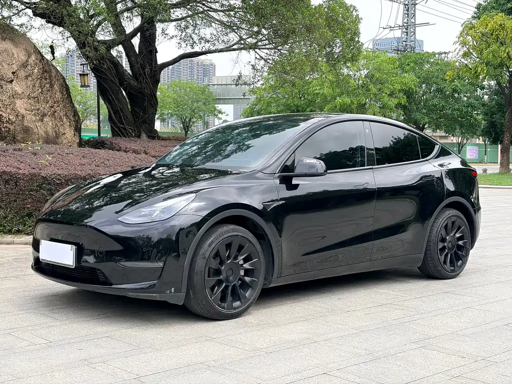Model Y 2021 Standard Range Rear-Wheel Drive Edition