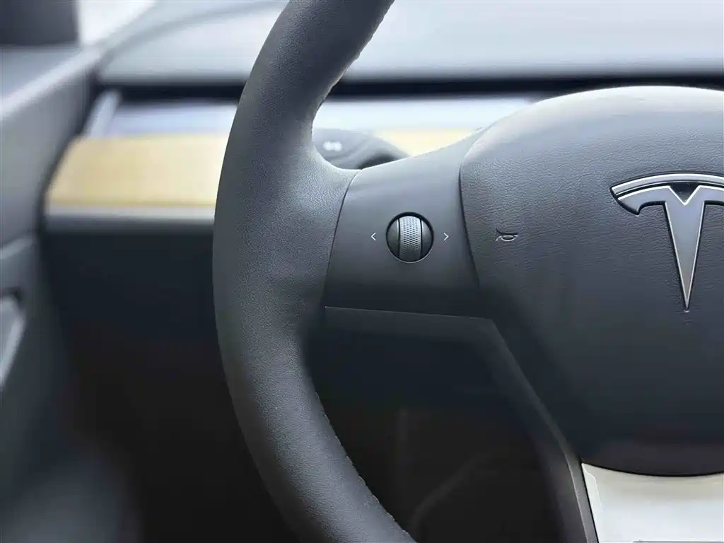 Model 3 2020 Long Range Rear-Wheel Drive
