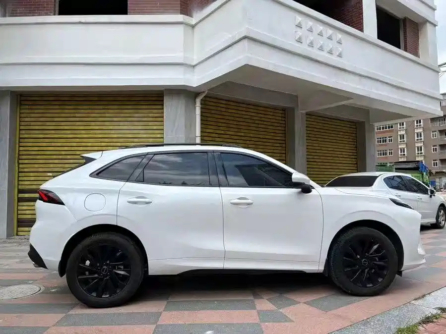 Forthing T5 EVO 2021 1.5TD DCT Platinum Edition Heat Wave