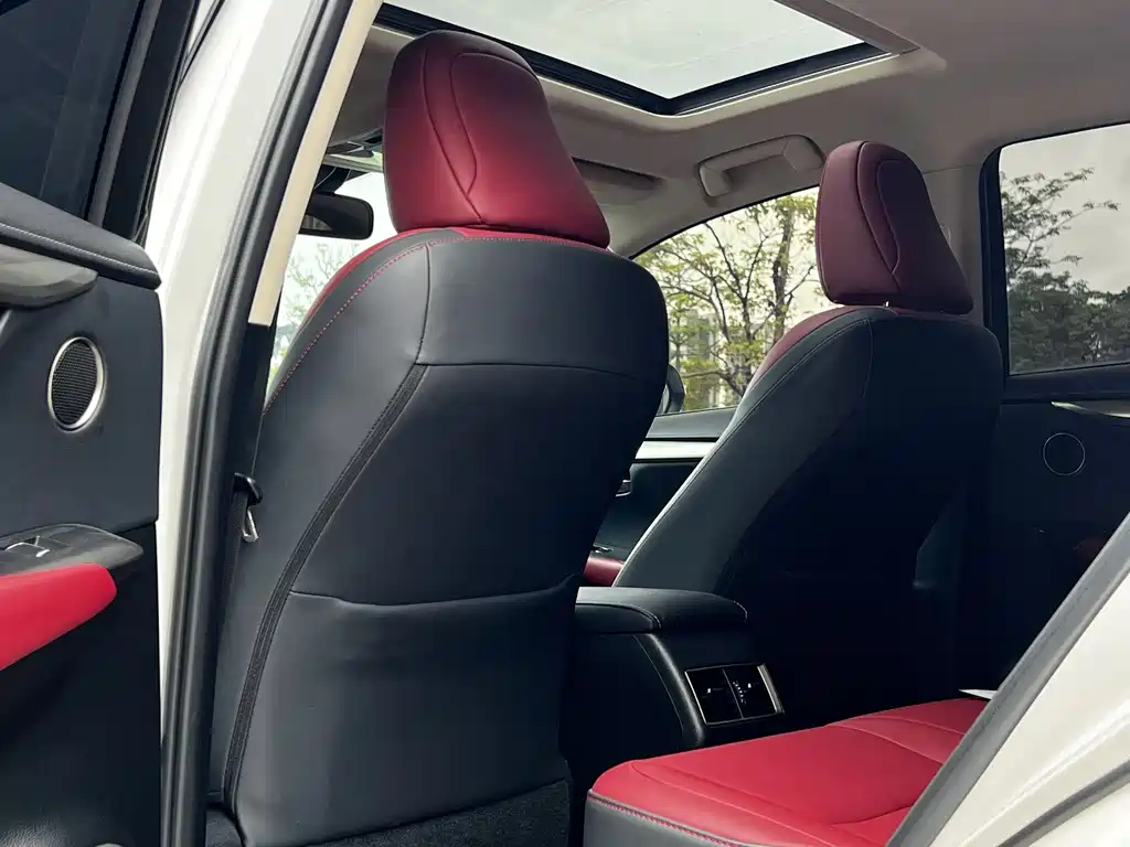 Lexus NX 2020 300h FWD F Sport China V
