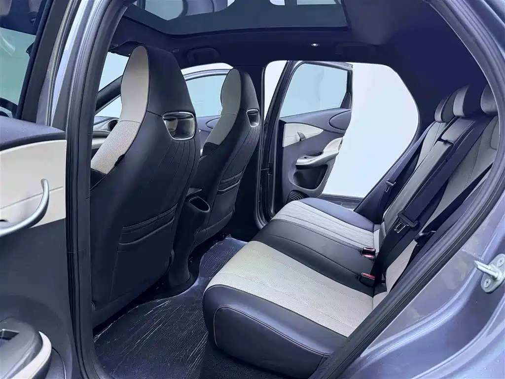 BYD Dolphin 2023 420km Trend