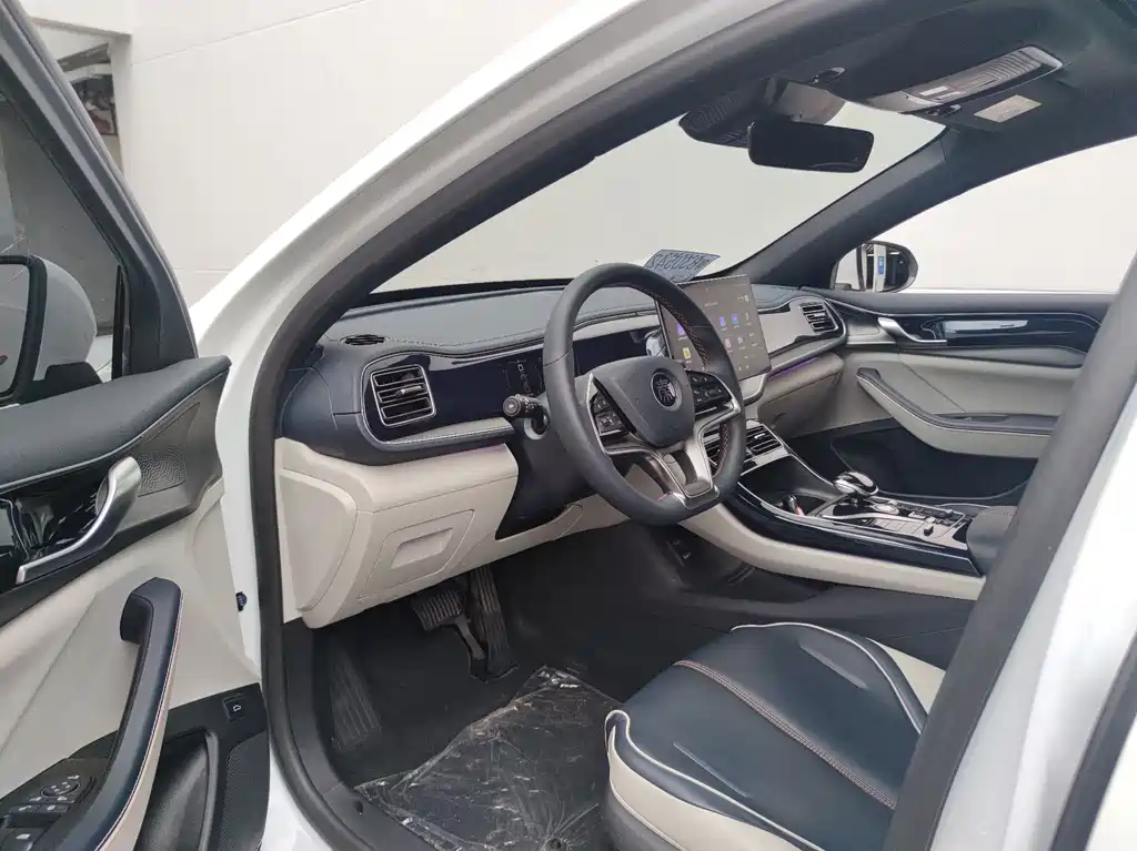BYD Qin PLUS EV 500KM Prestige Edition 2021