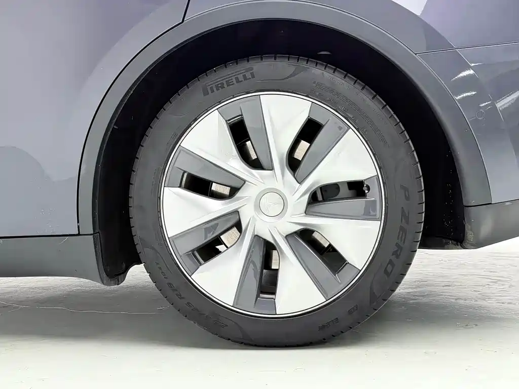 Model Y 2022 Rear-Wheel Drive Version