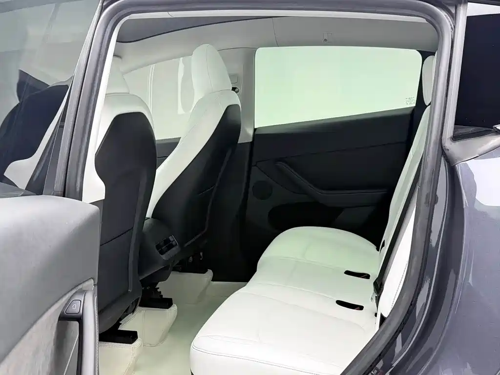 Model Y 2022 Rear-Wheel Drive Version