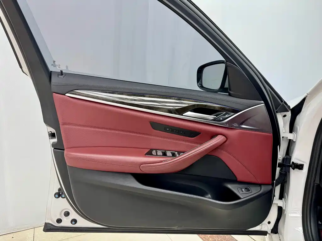 BMW 5 Series 2019 530Li M Sport
