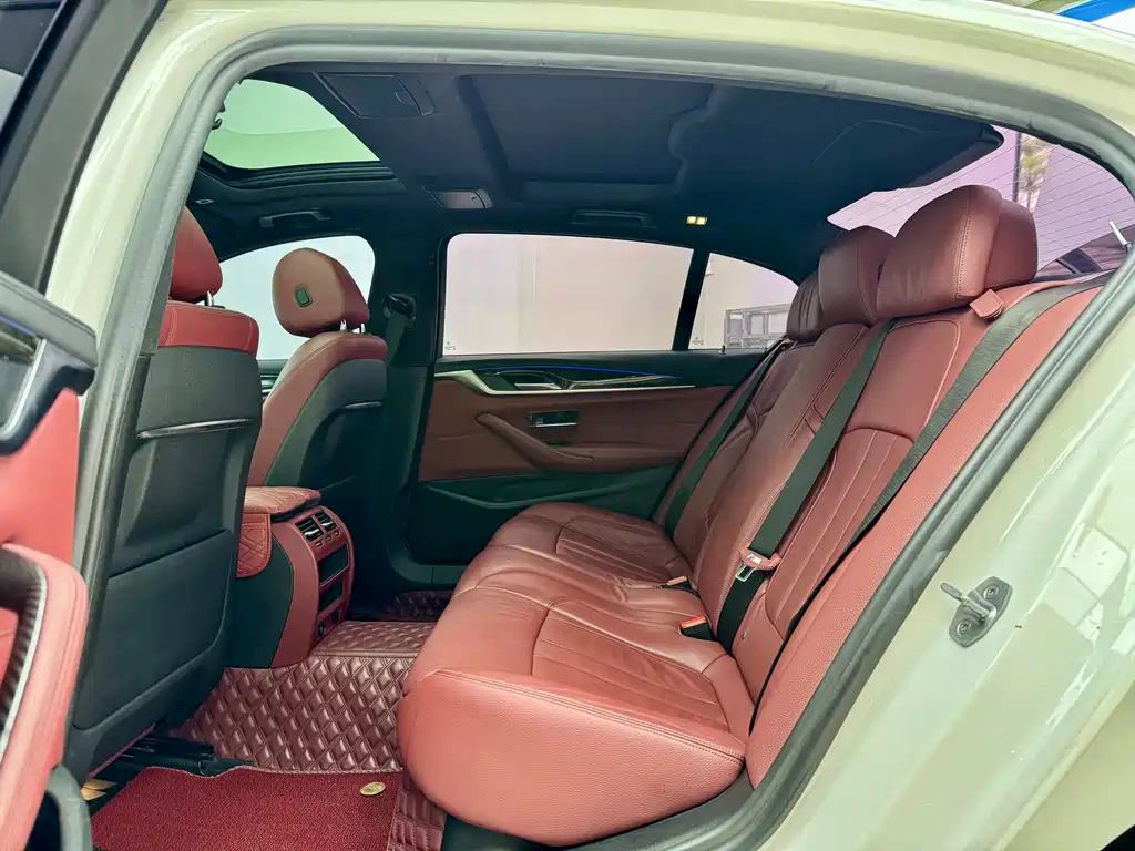 BMW 5 Series 2019 530Li M Sport