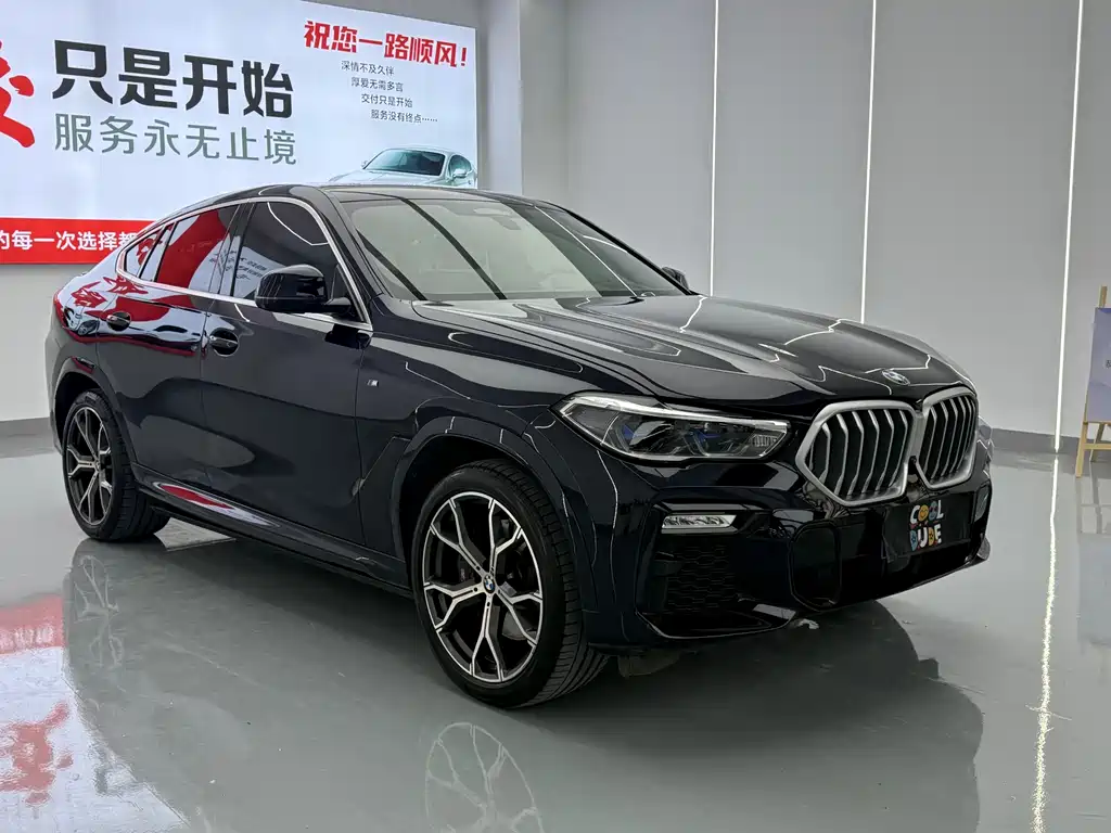 BMW X6 2021 xDrive40i Luxury M Sport Package