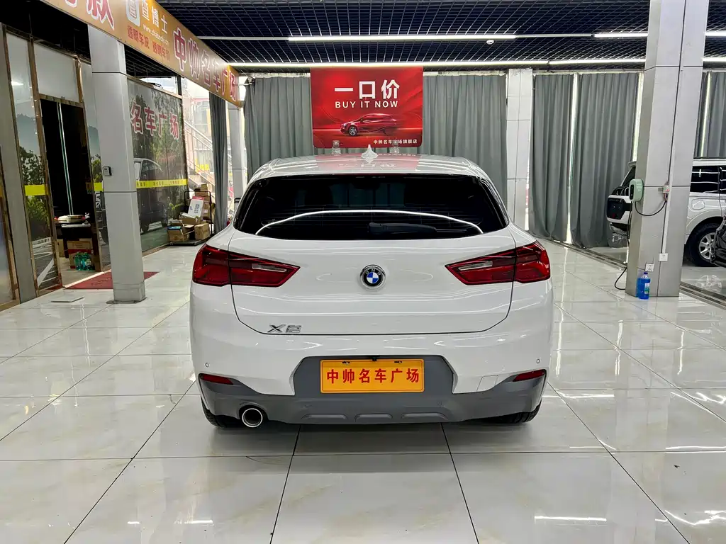 BMW X2 (import) 2019 sDrive20i M Off-Road Package China VI