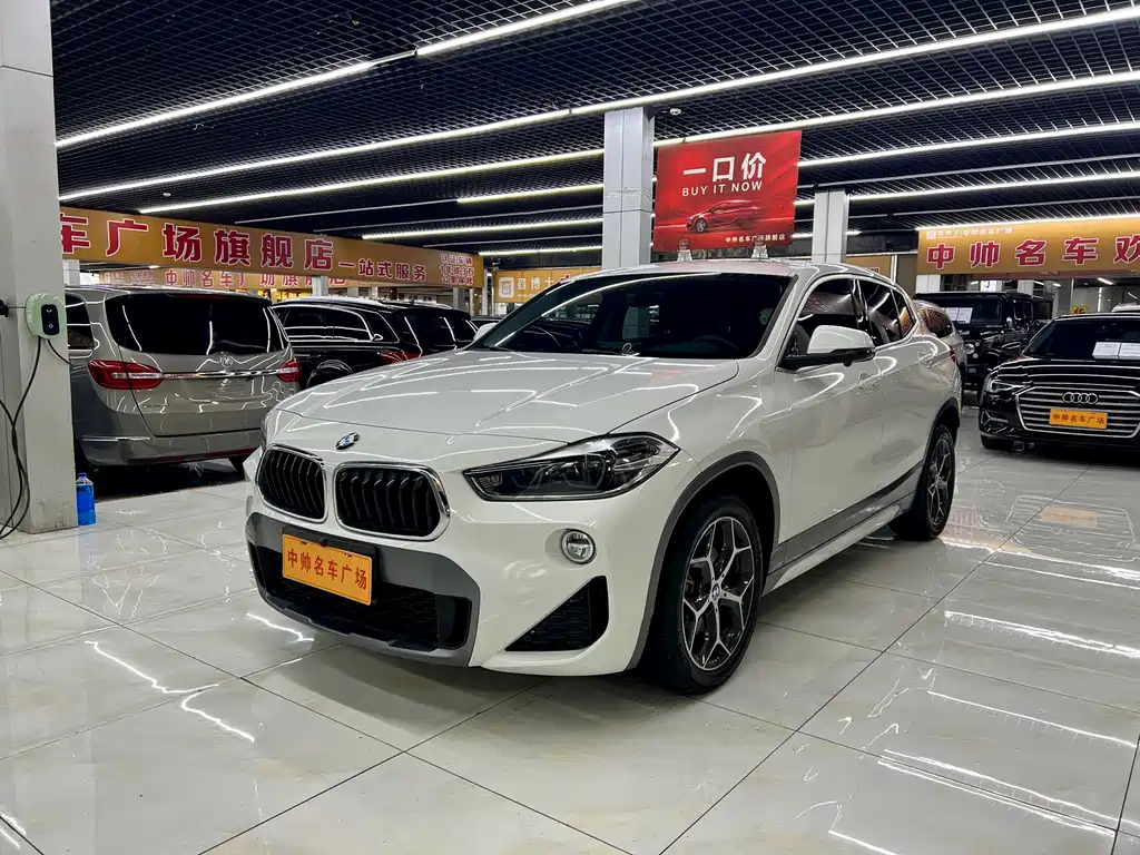 BMW X2 (import) 2019 sDrive20i M Off-Road Package China VI