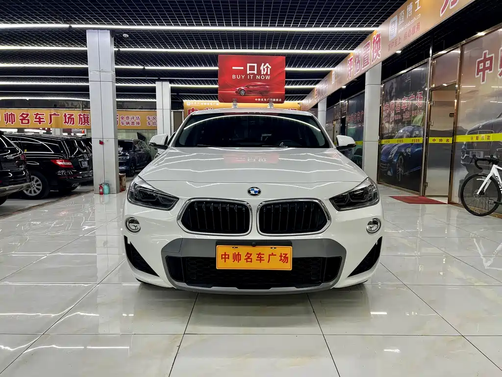 BMW X2 (import) 2019 sDrive20i M Off-Road Package China VI