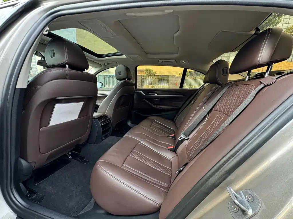 BMW 530Le 2020