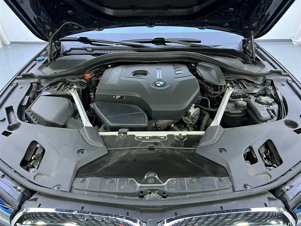 BMW 5 Series 2019 525Li Luxury Package