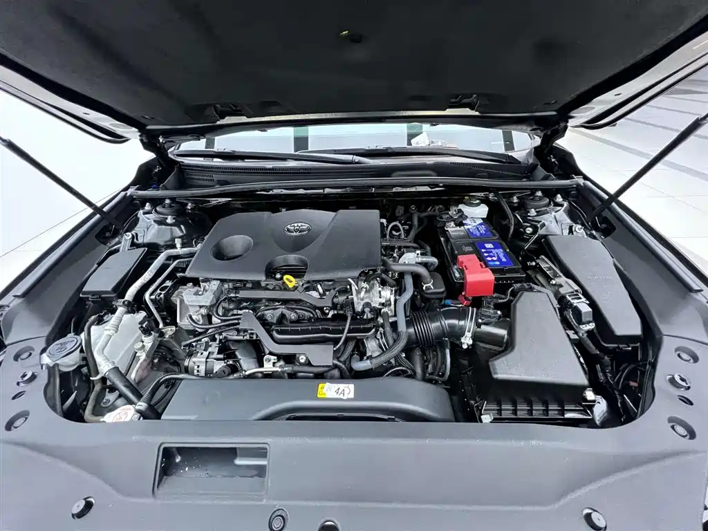 Toyota Avalon 2019 2.0L Luxury Version (China VI)