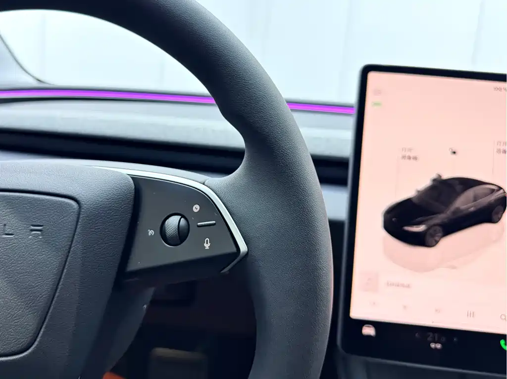 Model 3 2025 Rear-Wheel Drive