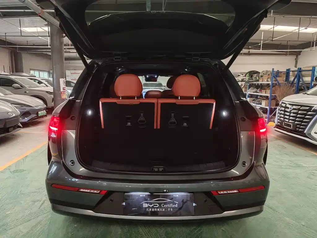 Tang L 2025 DM 175KM Drone Player Edition