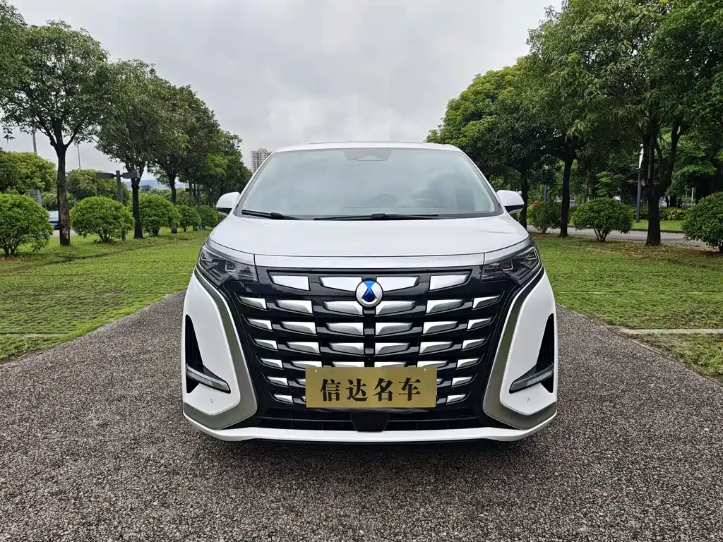 Denza D9 2024 DM-i 980 AWD Premium